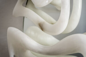 Fossil Moon XVIII Mirror - Amarist